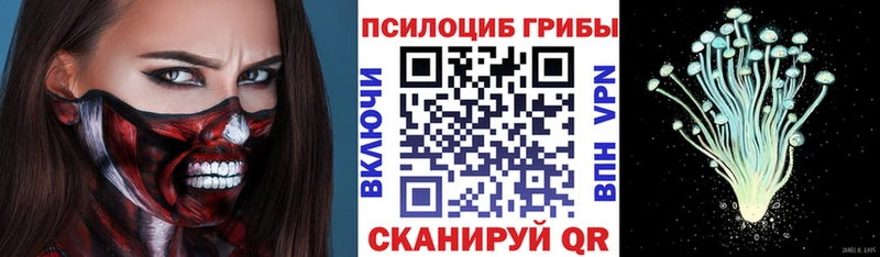 ссылка на мегу ссылки  Нерехта  Псилоцибиновые грибы Psilocybine cubensis 