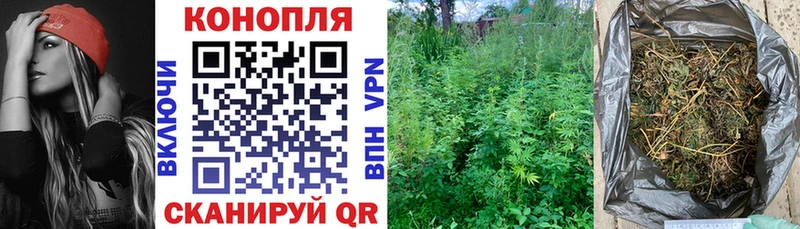 Бошки Шишки сатива  Нерехта 